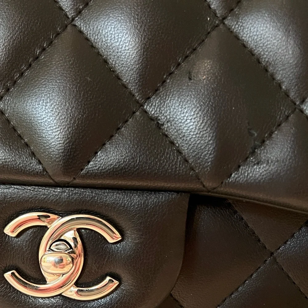 Chanel Classic Double Flap Shoulder Bag
